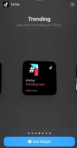 Searching for the TikTok widget to install
